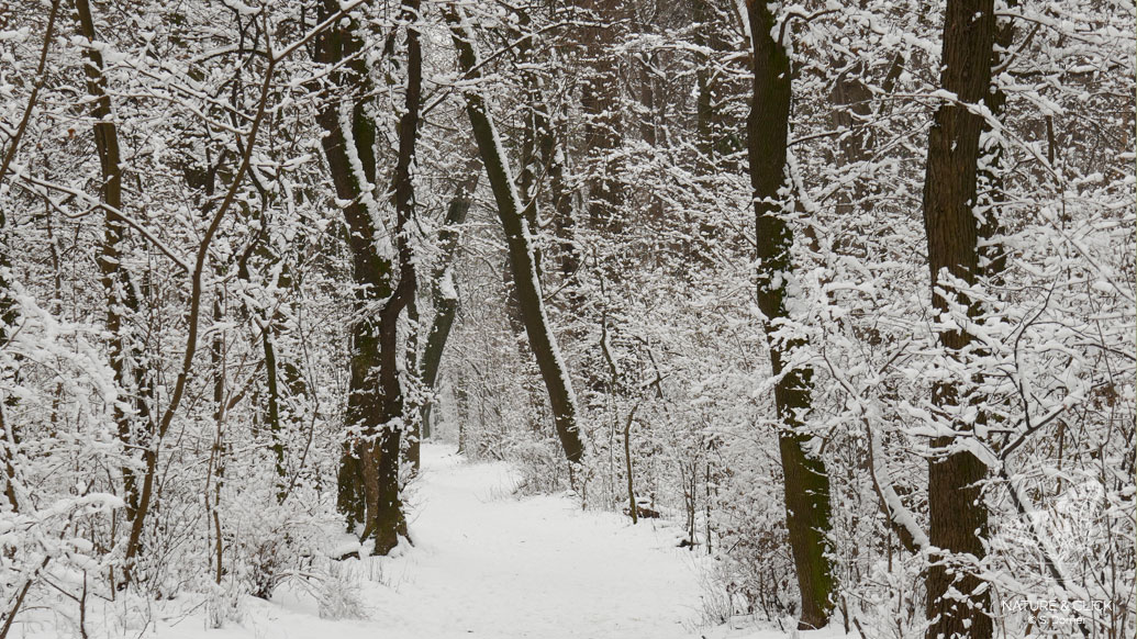 Spuren im Schnee