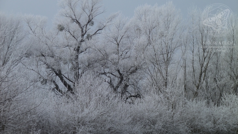 Winterlandschaften